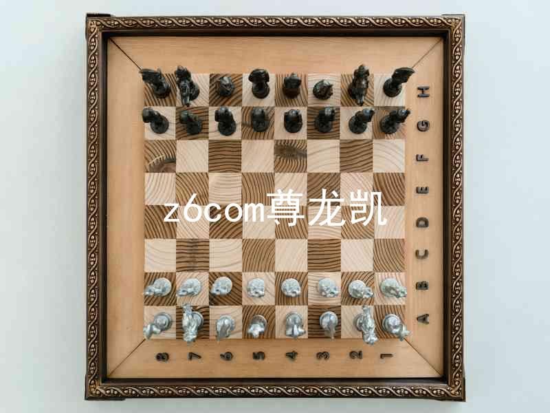 z6com尊龙凯